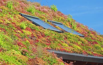 Fromington living roof systems