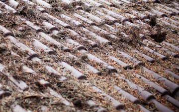 Fromington roof cleaning companies